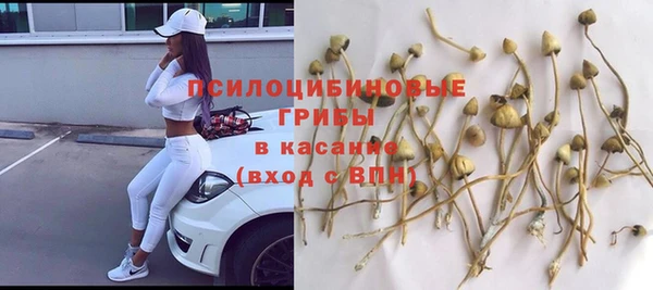 ешки Алексеевка