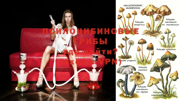 2c-b Алзамай