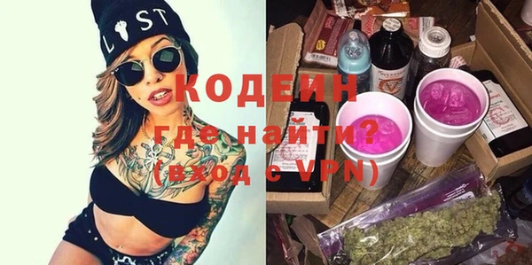 молекула духа Сясьстрой