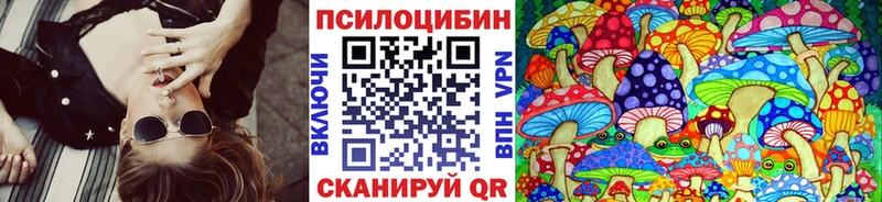 Псилоцибиновые грибы Cubensis  Павловская 